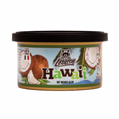 Ароматизатор для автомобиля в банке LERATON Hawaii (Coconut/Кокос) Ароматизатор для автомобиля в банке LERATON Hawaii (Coconut/Кокос)