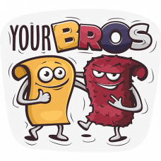 Стикер «Your Bros» LERATON